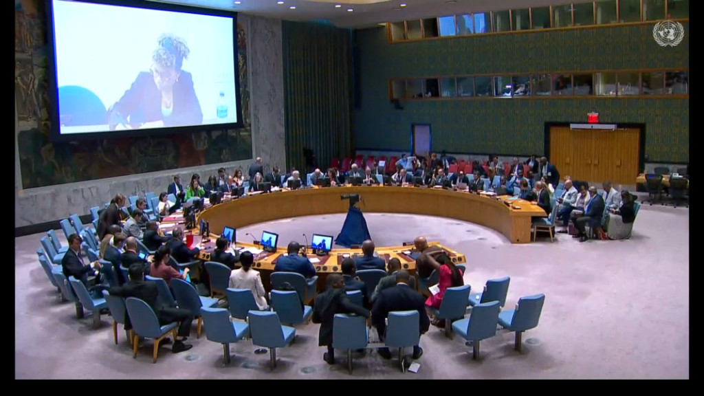 Aucune nouvelle résolution annoncée à l’issue de la 9368e session