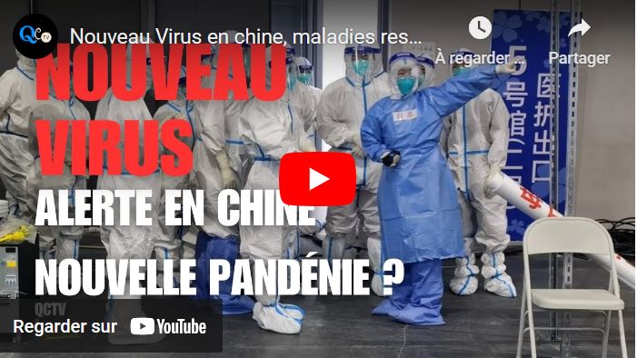 Une maladie respiratoire contagieuse et mortelle jusqu’alors inconnue chez les chiens, originaire de Chine cet été, s’est maintenant propagée aux États-Unis.